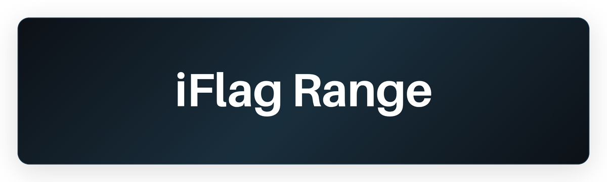 Iflag Sim Racing Hardware Built by Sim Racers | SimWorks